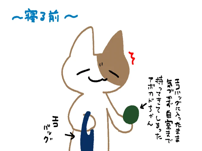 まぁ、今回も相変わらず自分が蒔いた種です🥑 