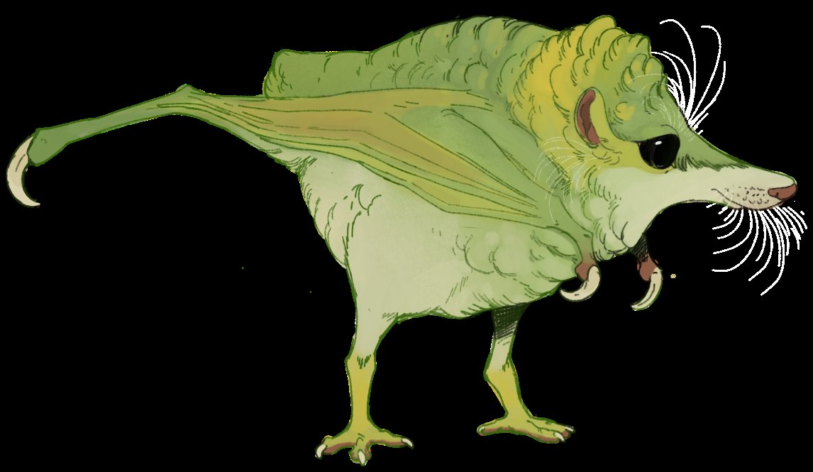 Spooky Bird tweet media