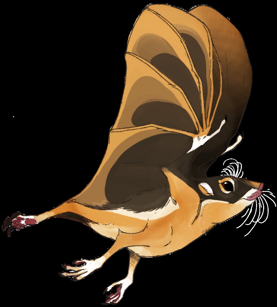 Spooky Bird tweet media