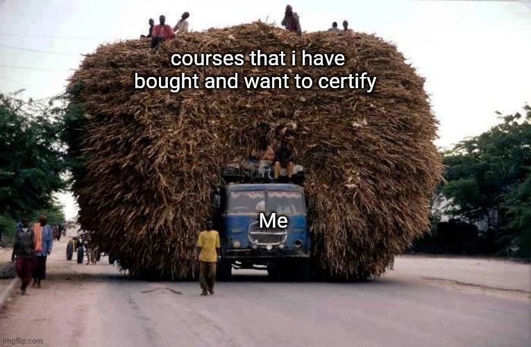 Those programming courses