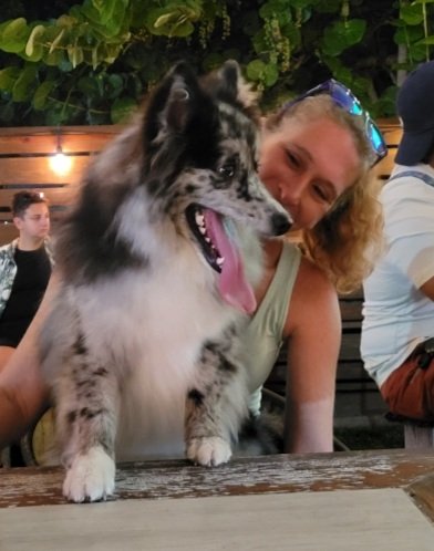 AsherDasher12's tweet photo. #dogbar #stpete #dogsoftwitter #Saturday #lovemymom https://t.co/5O2s335XUu