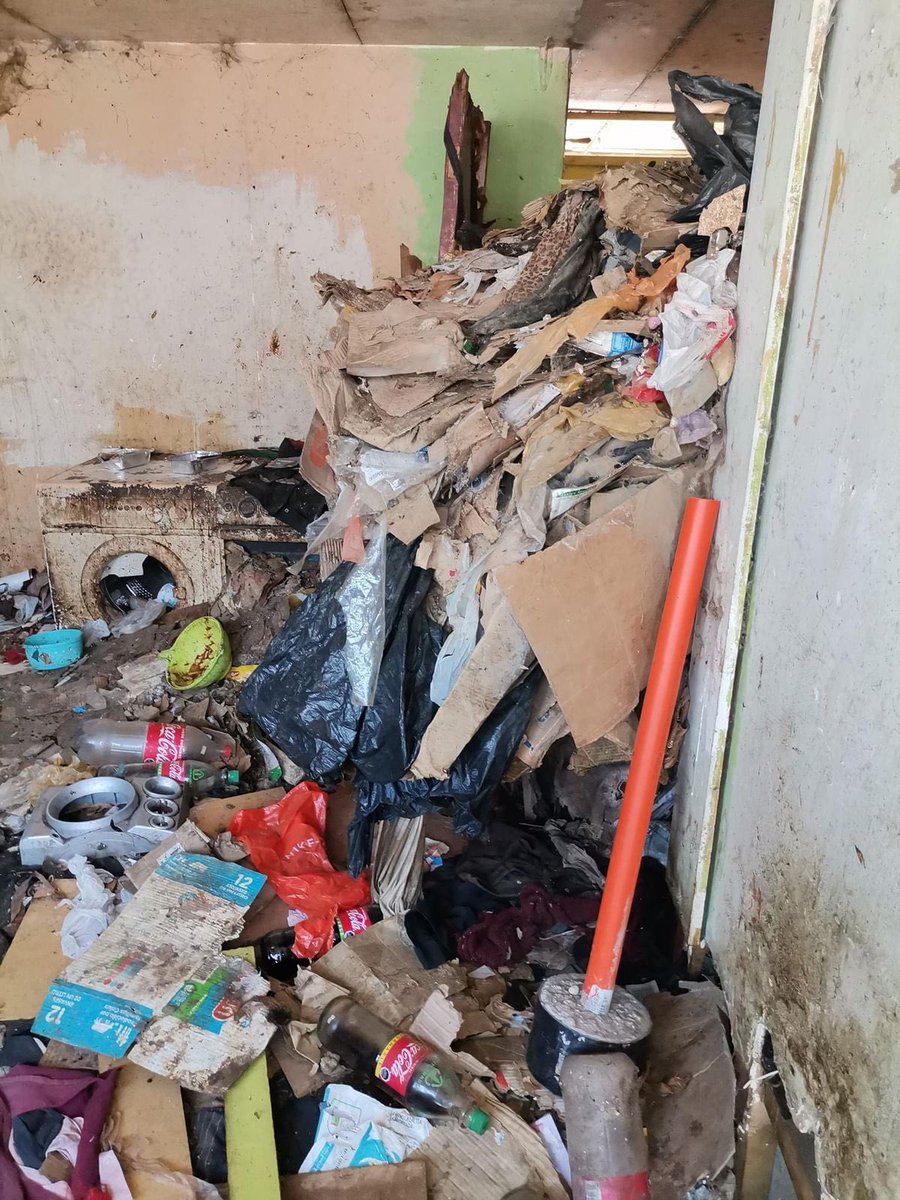Fundación Efecto Quiltro tweet media