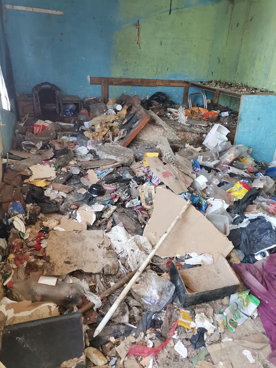 Fundación Efecto Quiltro tweet media