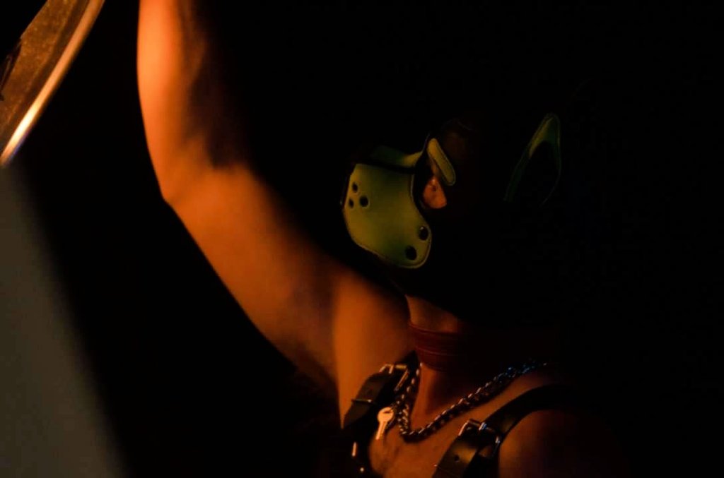 "Darkness falls"

Photo of alpha <a href="/dcman666/">alpha pup DJ🐾</a> 
Photo by me