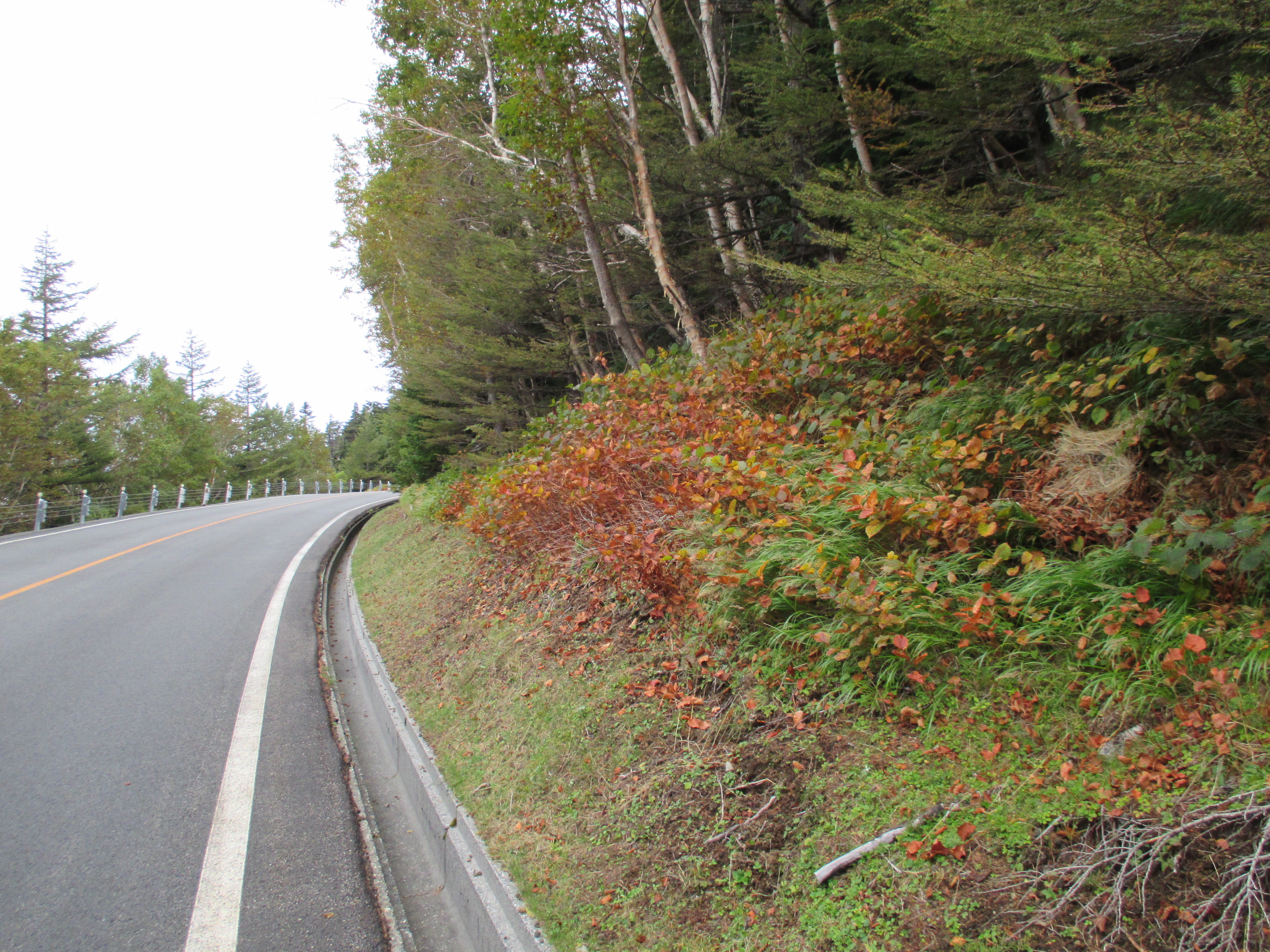 山梨県富士山五合目総合管理センター Fujisaninfoc Twitter