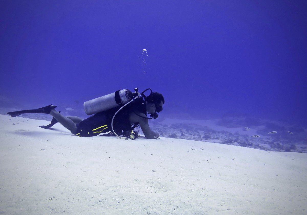 Relax!!! You're on vacation. You will enjoy our personal and unrushed dive service in Cozumel.

Let us take care of your diving.  ><(((º>  scubaluis.com 

Small groups. Fast boats. VIP service. **Maximum bottom time**

#Cozumel #scuba