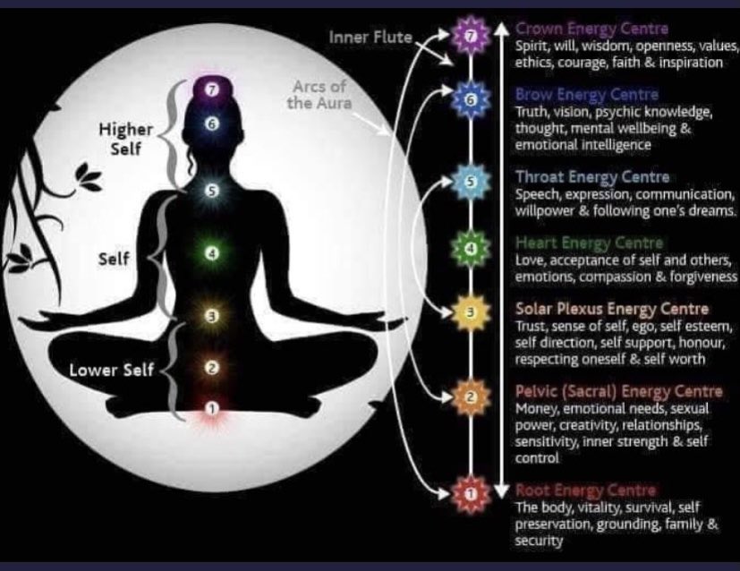 The soul is eternal, yet we are getting distracted. Well-being is possible only with patience and continuous spiritual practice of Guru Siyag siddha Yoga.<a href="/BrownUniversity/">Brown University</a> #todogoodforhealthathome