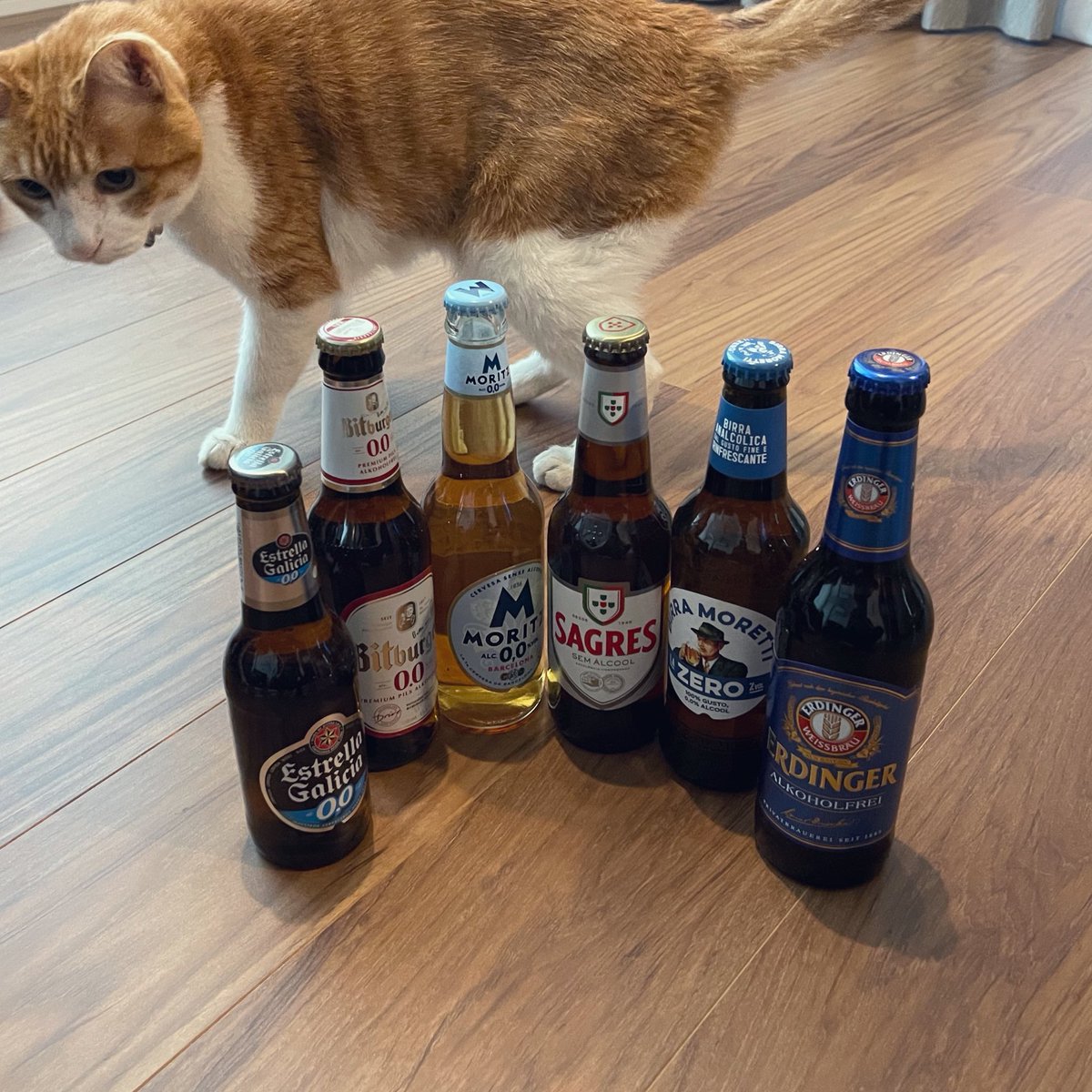 zerokilobyte0kb's tweet photo. 世界のノンアルコールビール12本セットを購入しました。世界といっても欧州4ヶ国ですが……。ビンがおしゃれです。🇩🇪🇵🇹🇪🇸🇮🇹
#estrellagalicia #bitburger #morits #sagres #moretti #erdinger https://t.co/euVKmxaDf9