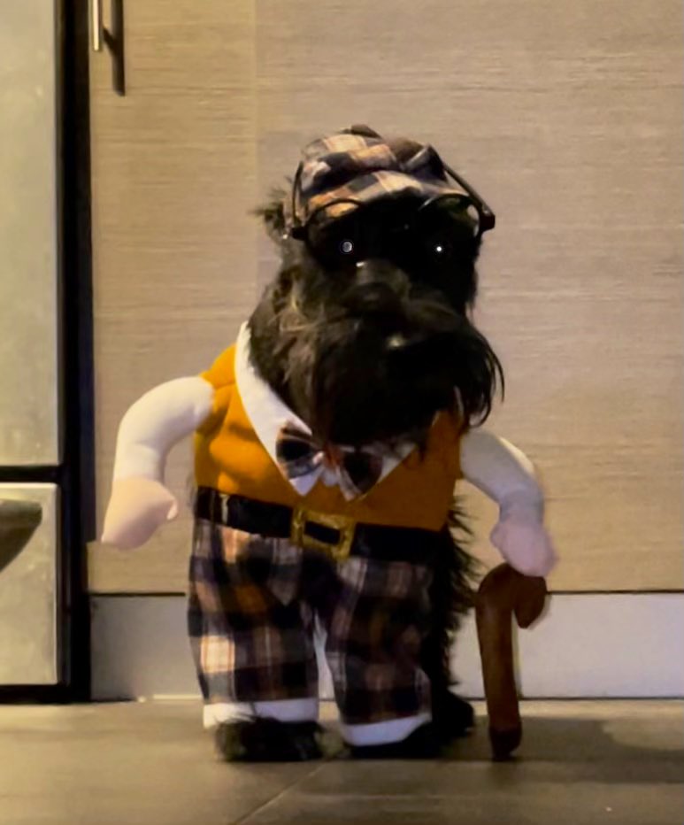 taylorbbx3's tweet photo. Who’s ur daddy https://t.co/9i0pz2BQ2Q