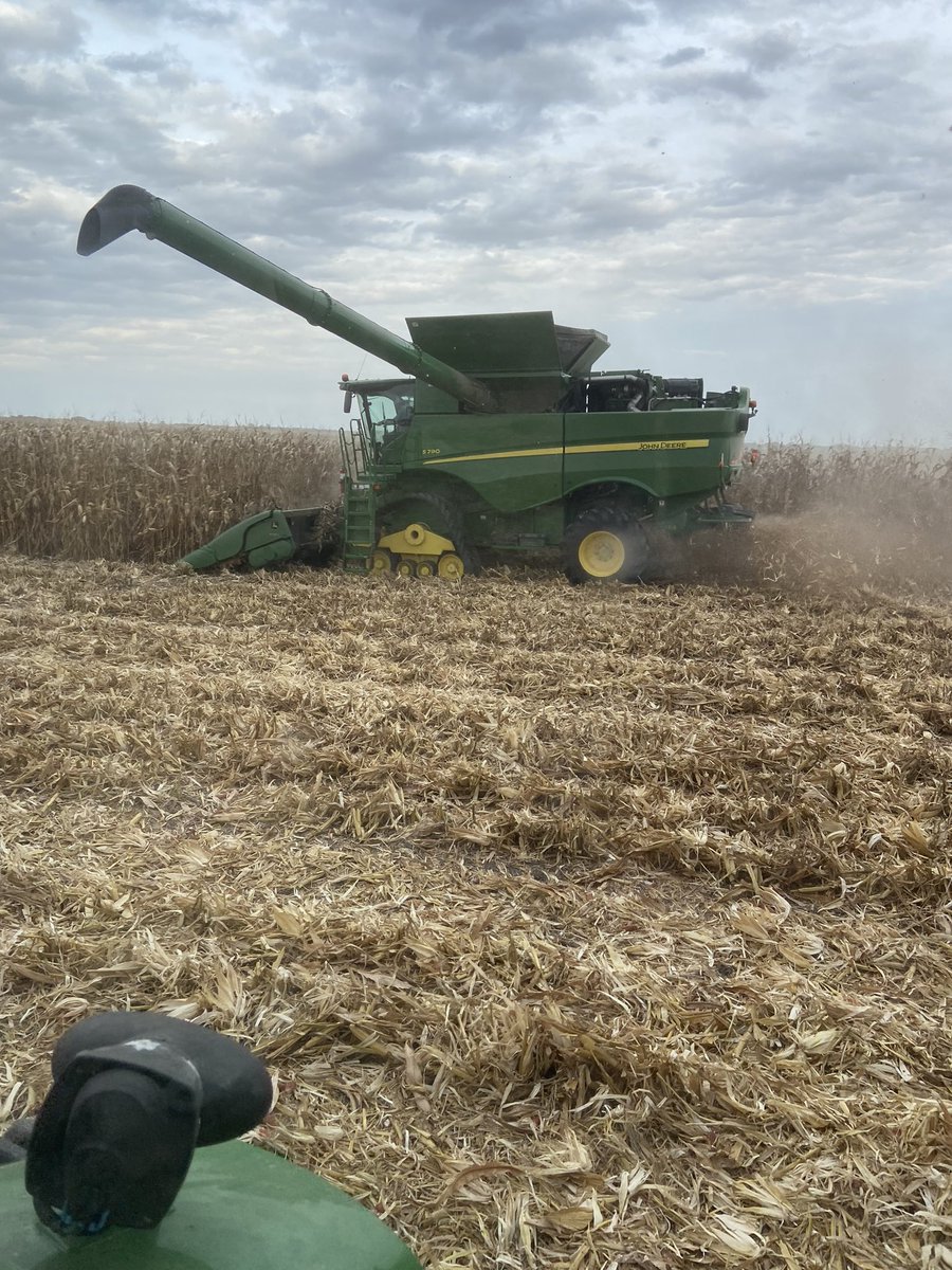 It’s that time of year for all the fun results.