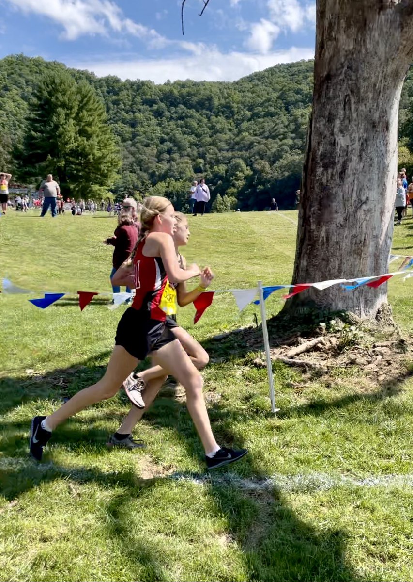 Lydia Williams tweet media