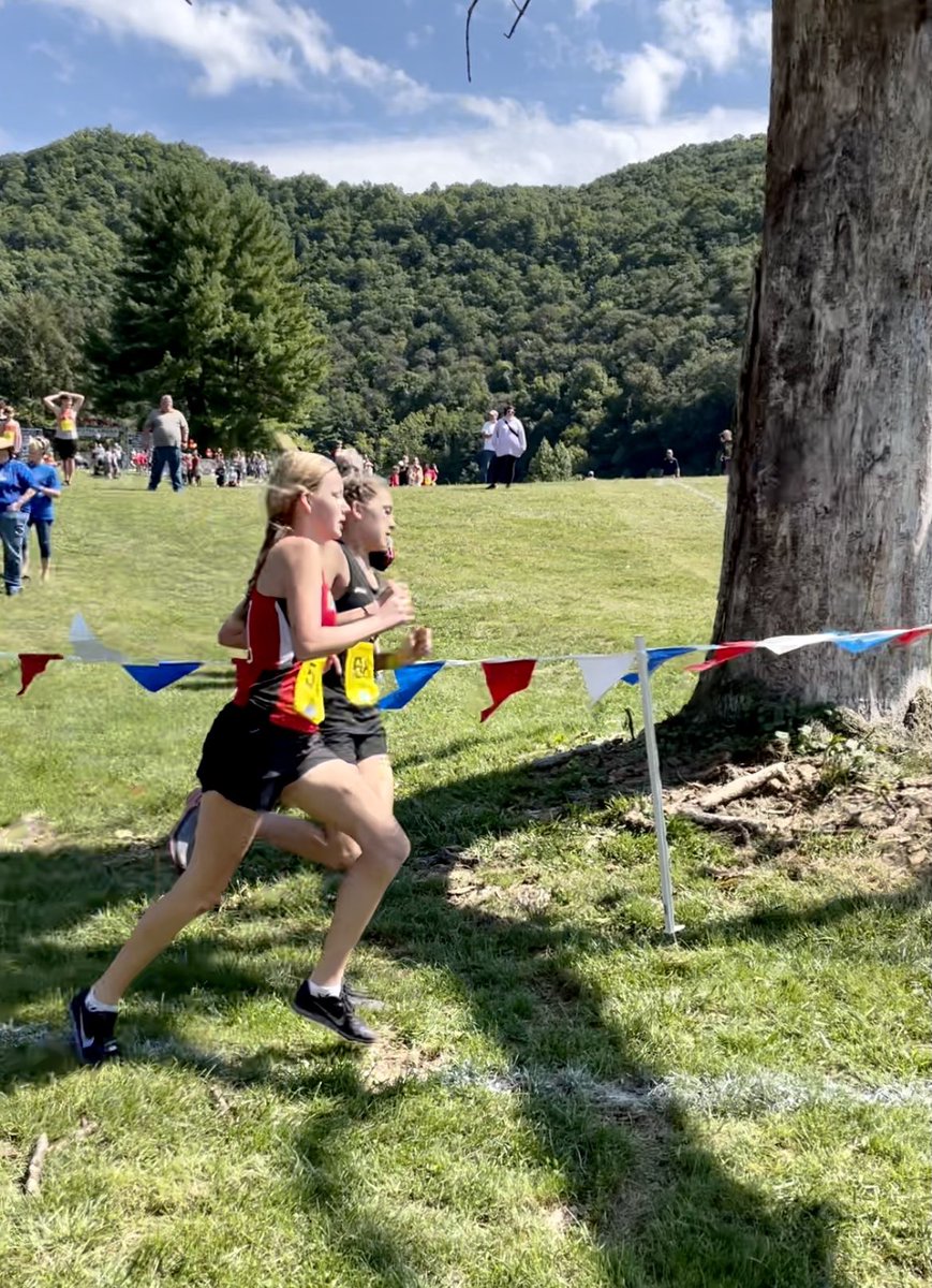 Lydia Williams tweet media