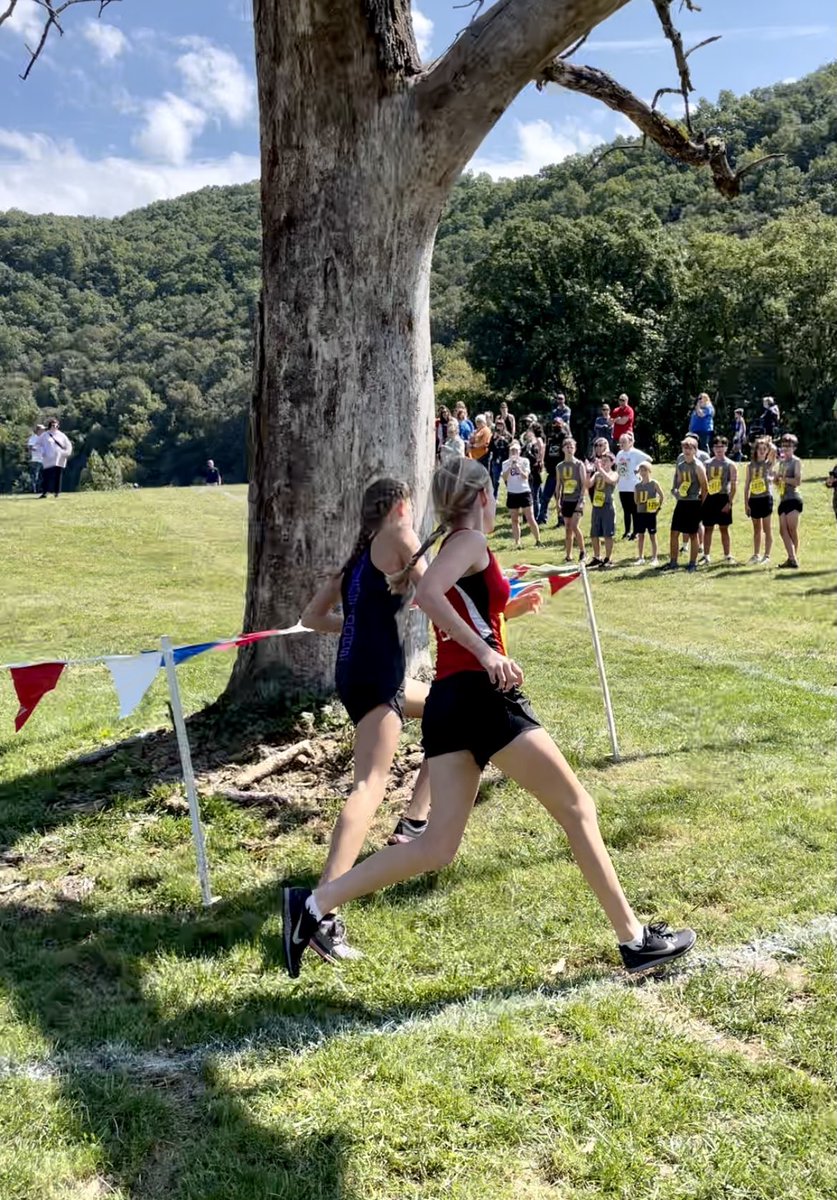 Lydia Williams tweet media