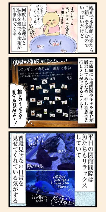 【一人で水族館に行くだけの話②】
#マンガが読めるハッシュタグ
#コルクラボマンガ専科
#Sumida_Aquarium #すみだ水族館

おまけはリプ欄に続きます! 