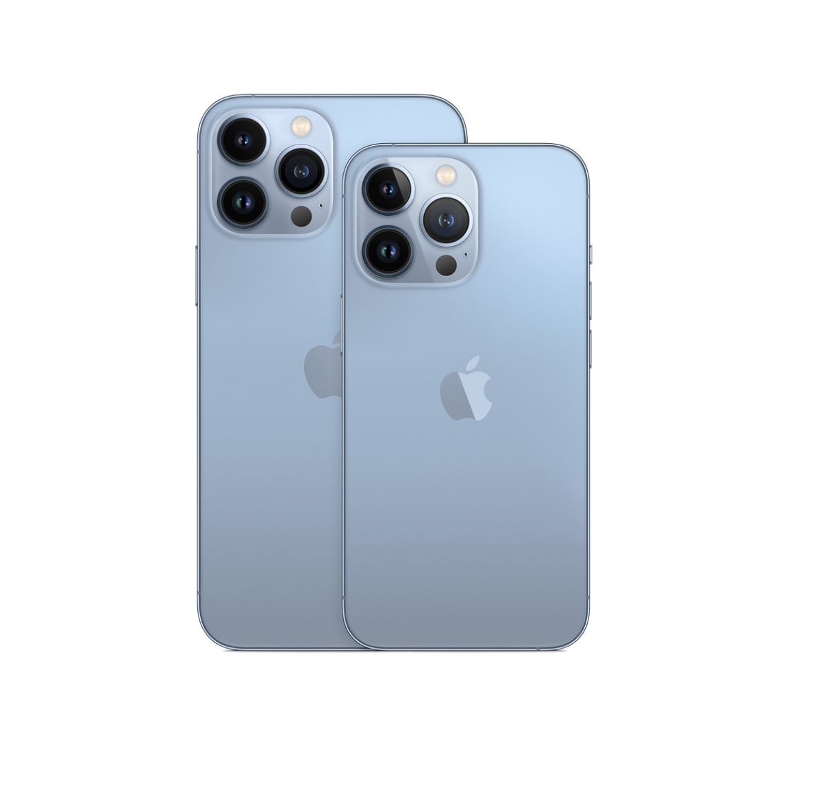 NilesGrey's tweet photo. the camera                🤝                the photos https://t.co/jff4l0doXO