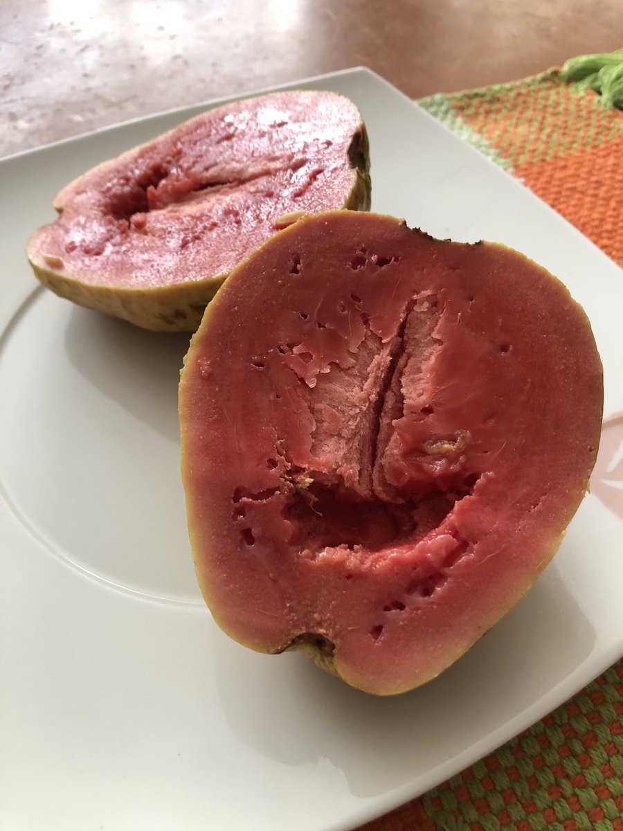 GracianDr's tweet photo. Así que a consumir jugo de guayaba para que tengan óptimas defensas  y ningún intruso externo puede violentar nuestras lunes de defensas .. esta fruta no da efectos colaterales como los ácidos ascórbicos sintéticos  a todos los grupos etareos dar y adiós infecciones. https://t.co/1W5OpN7cbh
