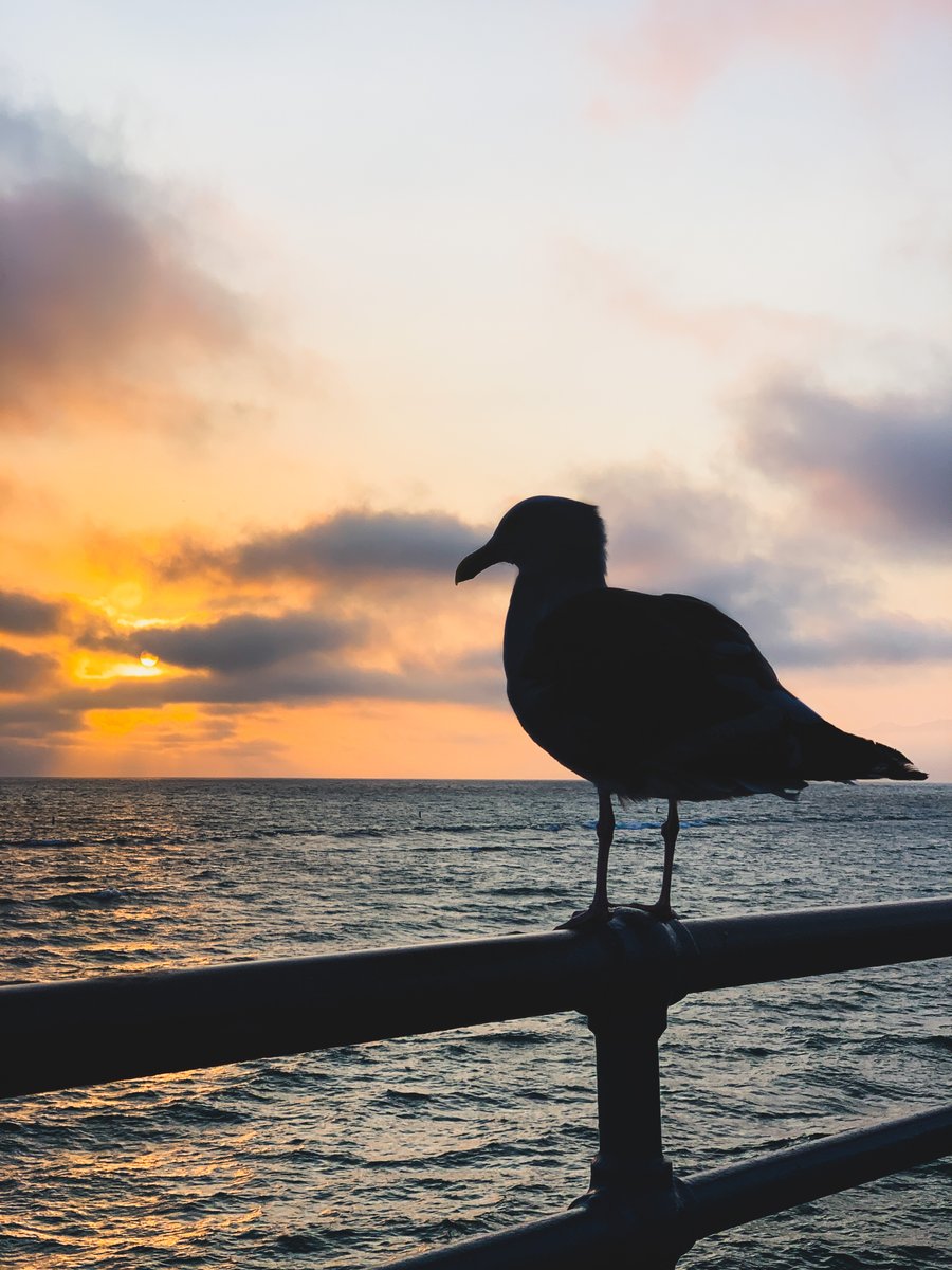 Me waiting for the next bull run