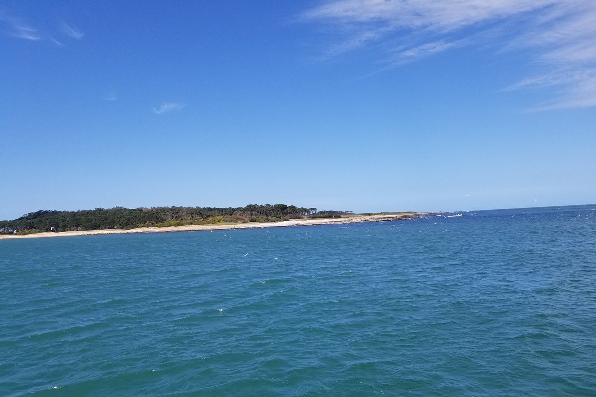 Juan Negro tweet media