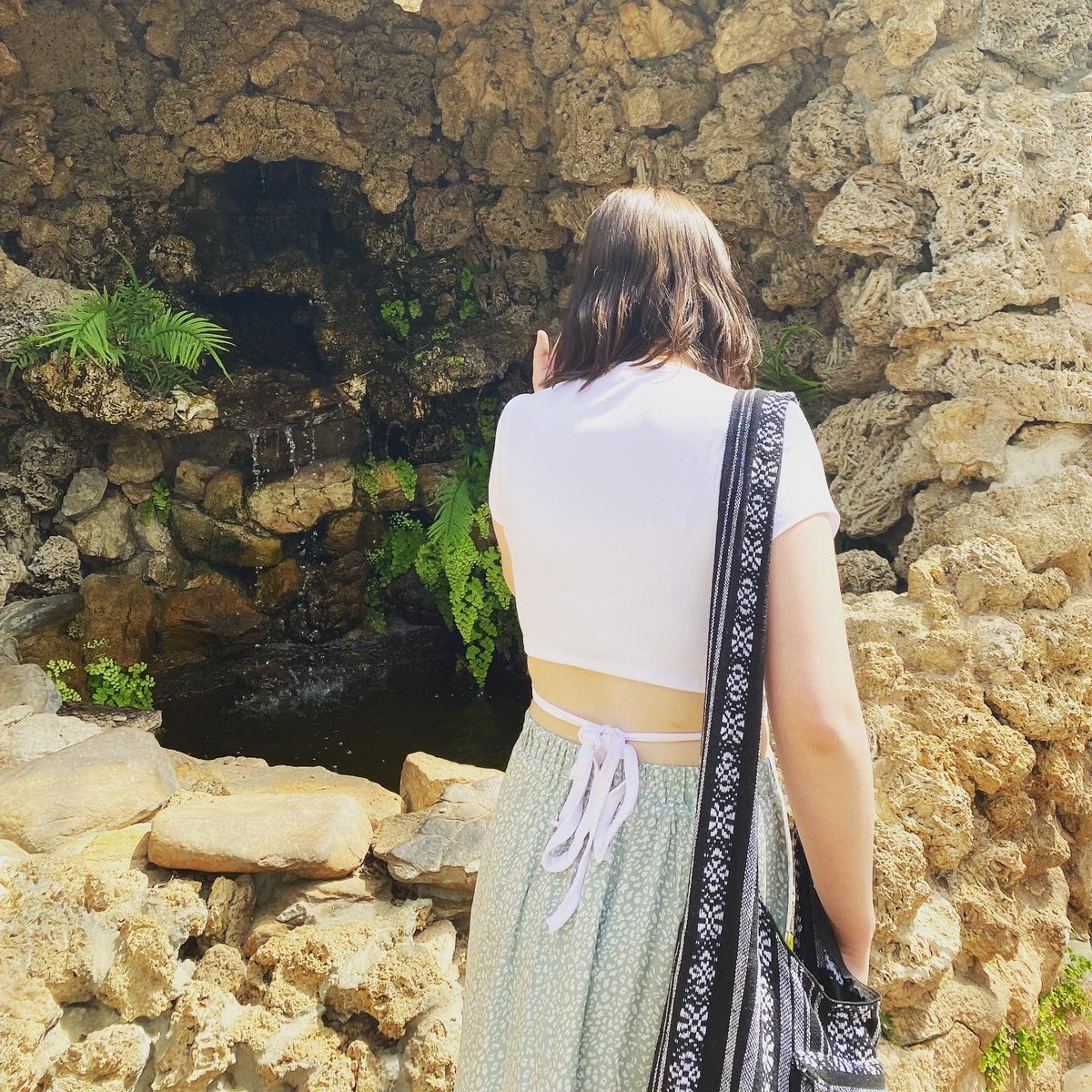 HannJaide's tweet photo. 🪴🌸🌳
.
.
.
.
#Adelaide #botanical #botanicalgardens #chakra #garden #greenwitch https://t.co/kP7HpdJjJE