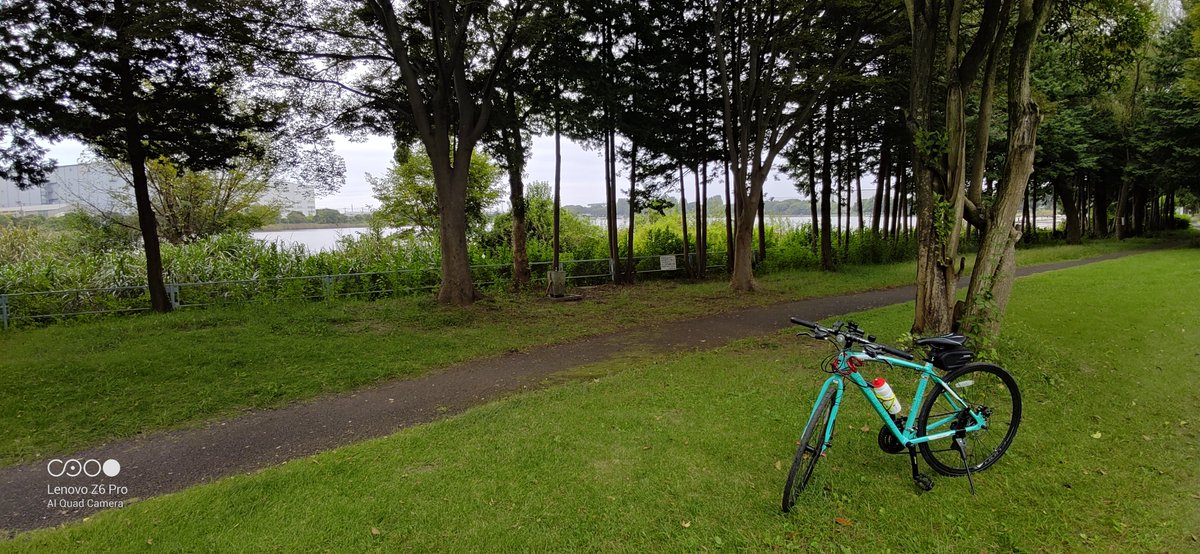 smiura3000's tweet photo. #cycring https://t.co/LkFlPW4Z3q