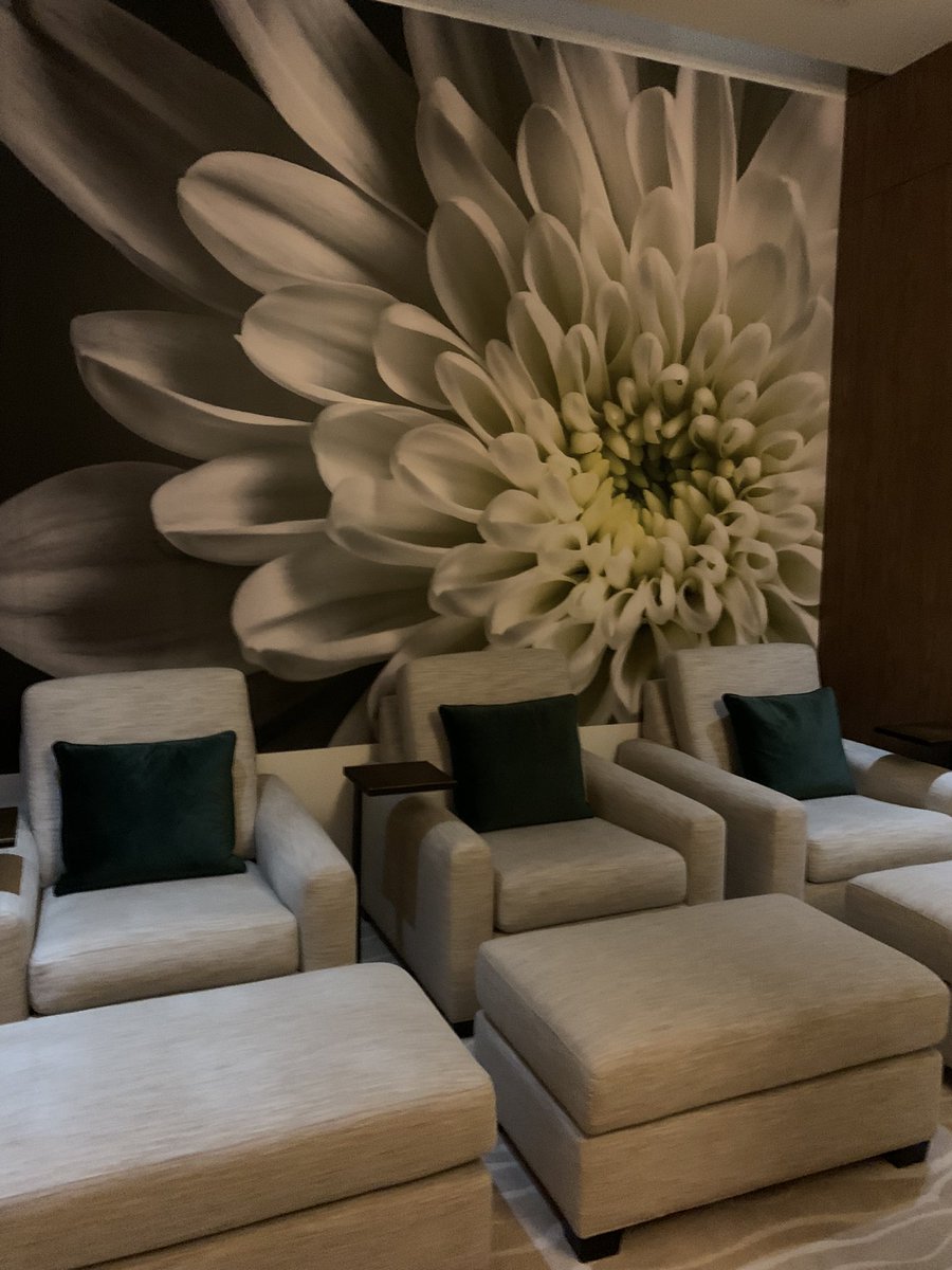 FinnSpirit's tweet photo. A few months ago I was super lucky to win a Rejuvenation Facial for two at the @SherlaseClinic spa in the heart of Markham Village. Finally visited today. A stunning and serene space to retreat to. @visitmarkhamca #markham #markhamvillage #visitmarkham #markhammainstreet https://t.co/8Ni4wDjVqF