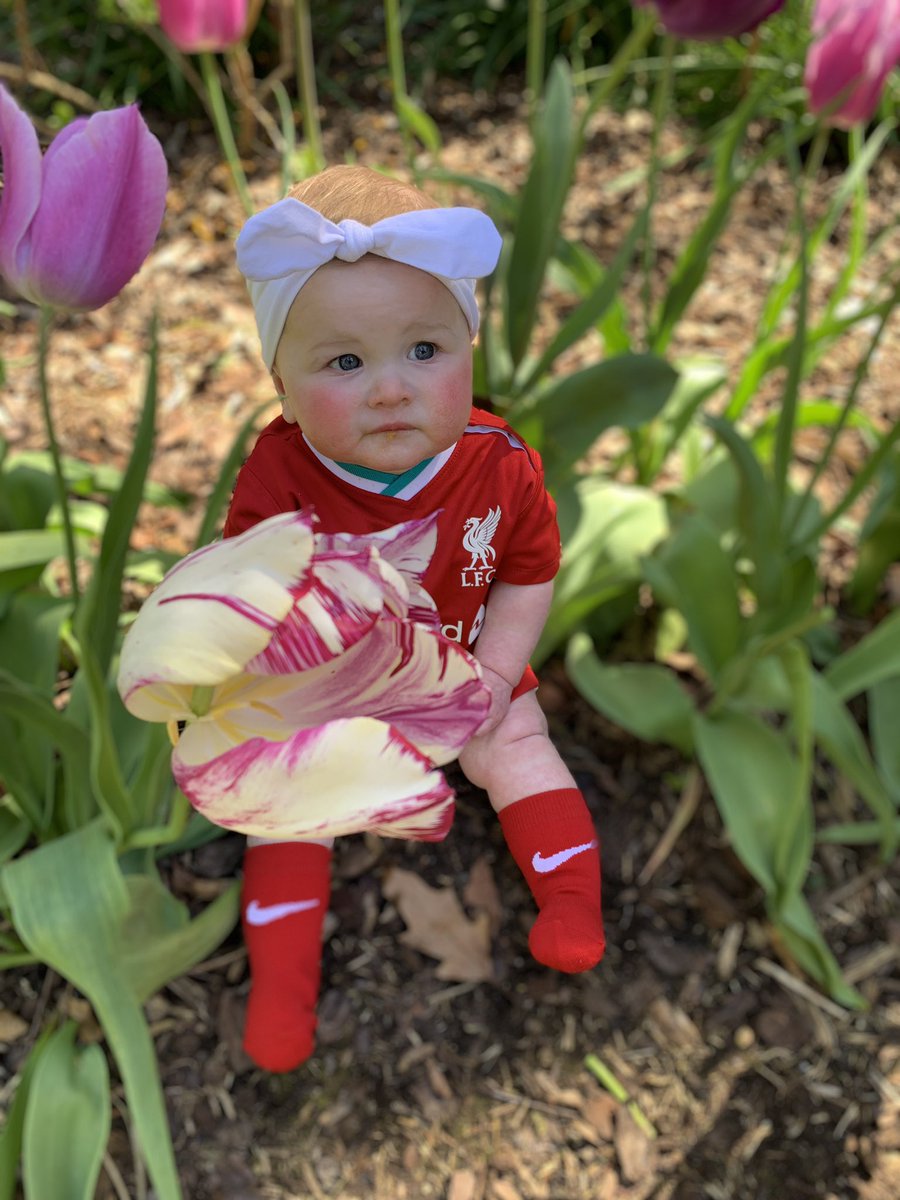 Leeboy83ynwa's tweet photo. Look at this perfect little girl of mine……. Showing her true colours.
#LikeFatherLikeDaughter
#RedThroughandThrough https://t.co/PCHFVEHfZp