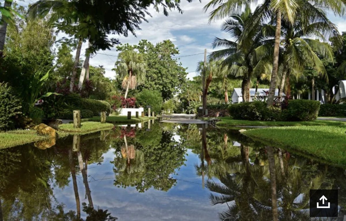 tbenderphoto1's tweet photo. #HTPhotoGallery #MARKETSNAPSHOT #PHOTOS #LongboatKey's #DreamIsland #CheckOutThese
https://t.co/8cqHSGX4d0
#ReadAllAboutIt By #ChrisAngermann
#Florida @VisitSarasota @VISITFLORIDA
Click here to follow the latest #News @HeraldTribune ππΌππΌππΌππΌππΌππΌππΌ#SupportLocalJournalism https://t.co/szQvogH8Mh