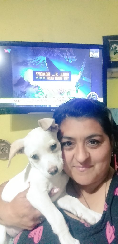 LauraVernicaVa2's tweet photo. #tnxplus Feliz cumple!!!🎂👏🥳 Acompañandolos con Lia... mientras mi Marido trabaja y mi hijo disfruta de su campamento con el Grupo Scouts. ❤ https://t.co/nDsAum82DK
