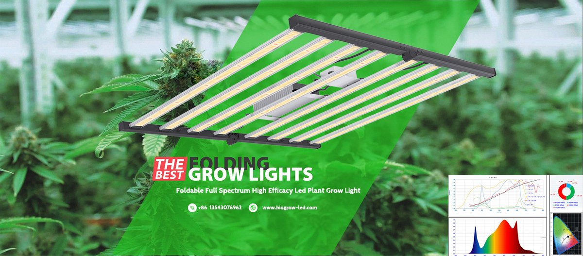 DreamyChan2's tweet photo. Welcome sample order to check our quality.
Factory looking for oversea Retail Stores &amp; Wholesalers

#growers #Growhydro #Growkits #Growled #growlight #Growlighting #Growerslove #Growroom #Growtents #Harvest #Highlife #Hydrogarden #Hydroponics #Homegrow #Horticulture #grow420 https://t.co/tvtaaBXZKf