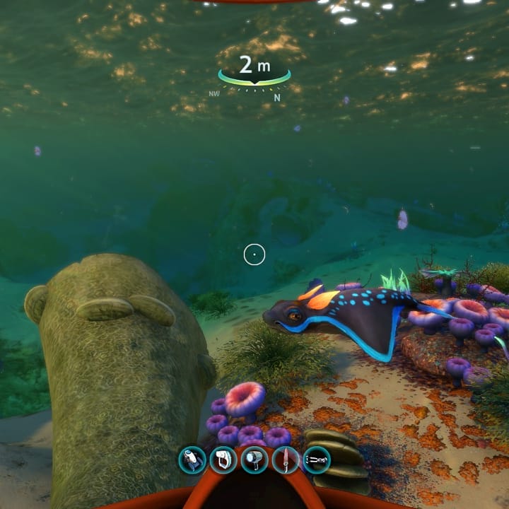 Hopegiver's tweet photo. Since I did a post about Subnautica flora, it's only fair I show some of the common fauna as well.
Here are a Rabbitray, Stalker, Boneshark, Gaspod, & Jellyray.
#subnautica
#alienfauna
#beautyinthedeep
#jellyray
#rabbitray
#subnauticastalker
#boneshark
#gaspod
#xboxone https://t.co/zOo3e0FcFG