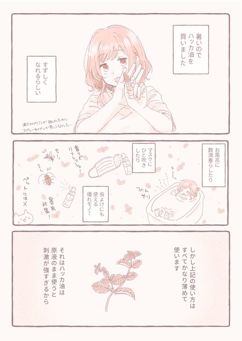 夏の非実録日記を描きました。 