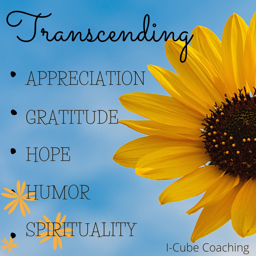 kherunkhan's tweet photo. Transcendence-

✨APPRECIATION- Noticing and appreciating the everyday experience of life.
✨Gratitude - Taking Time to Express Thanks.
✨Hope- Optimism, Future- Mindedness, Future Orientation. 
✨Humor- Playfulness
✨Spirituality- Faith and Purpose. https://t.co/9DAyiqjo8B