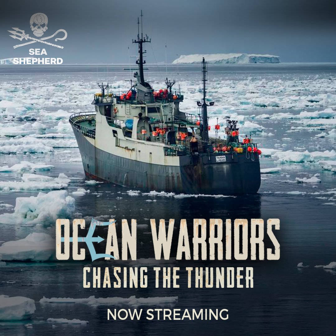 SeaShepherd_Aus's tweet photo. 🎥 Looking for something to watch? Did you know that you can rent #ChasingTheThunder: a high-seas #documentary about our epic 110-day, 10,000-mile chase of the Thunder considered the world’s most notorious poaching vessel on WaterBear Network? 👉 https://t.co/QFUWEmAJuR https://t.co/tLJwvtDLu9