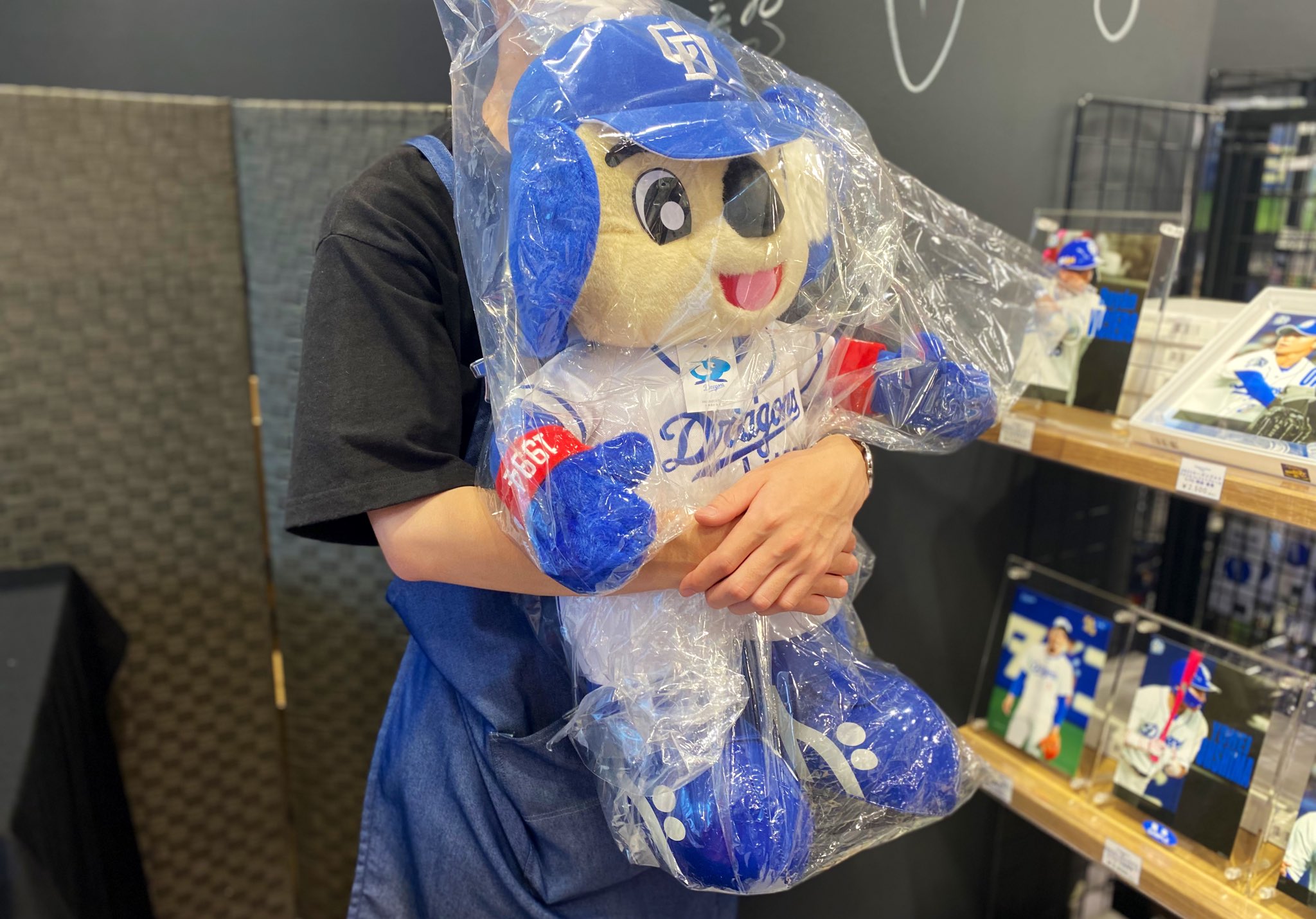 ドアラ ぬいぐるみ 特大