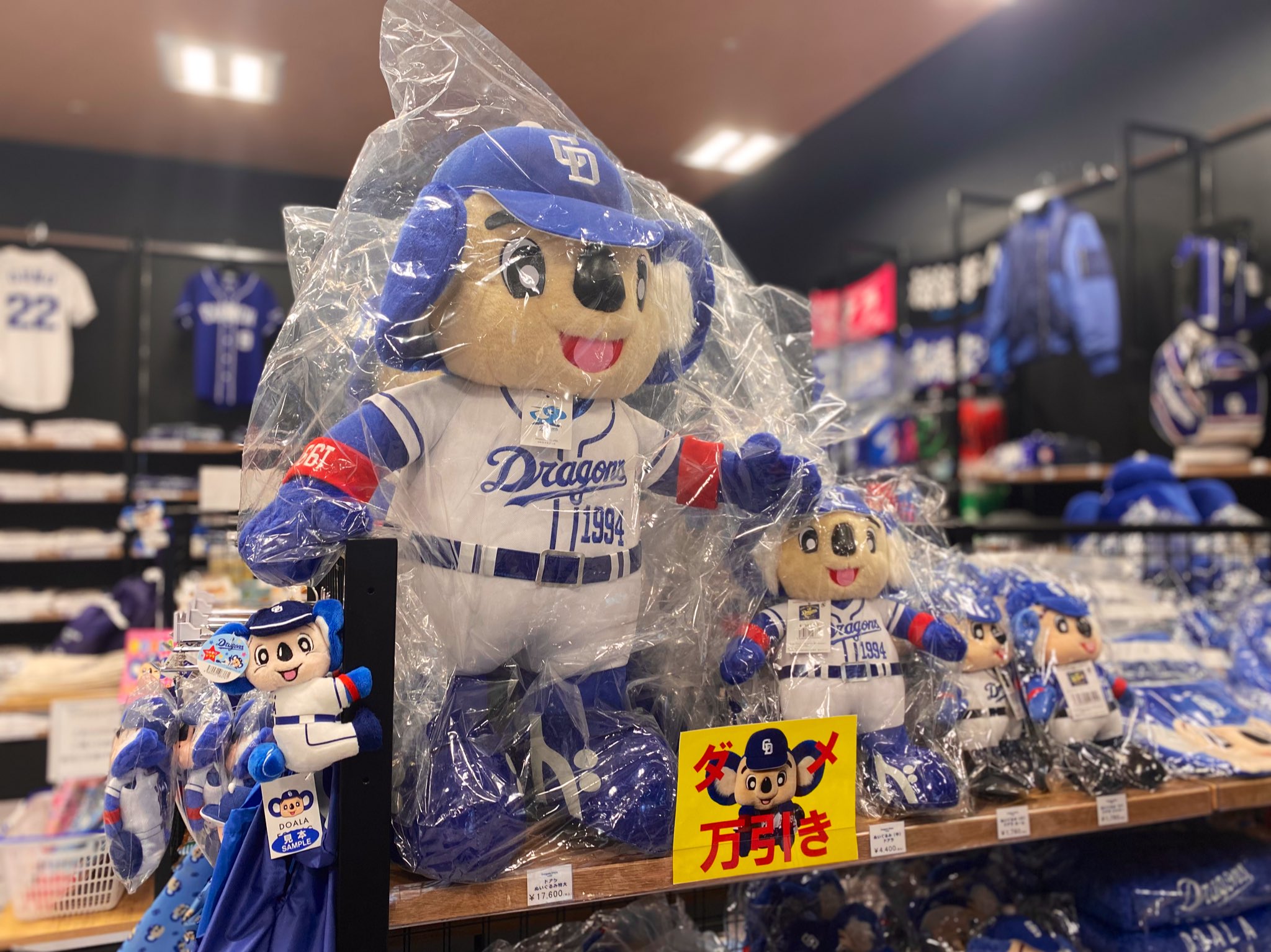 ドアラぬいぐるみ　特大 入荷情報🐨 ＼ 『ぬいぐるみ ドアラ 特大』18,700円(税込