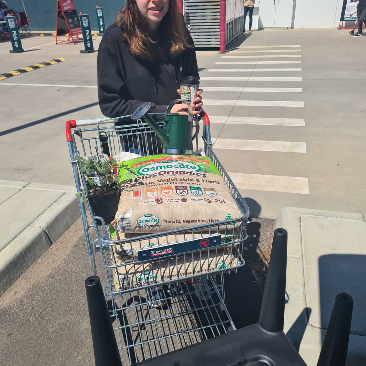 StevenSamsAU's tweet photo. Planted some tomatoes and strawberries, can't wait to seem them grow or die. #sundayvibes #vegatablegarden https://t.co/ymE0kPdb3P