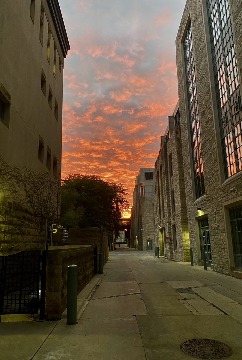 sirfrasersays's tweet photo. It’s said a red sky at night is a shepherd’s delight.  As I left my office and laboratory this evening for home l felt a bit like a shepherd. In many respects, my life as a mentor  of young research scientists is a sheer delight. https://t.co/SrEMziDtbB