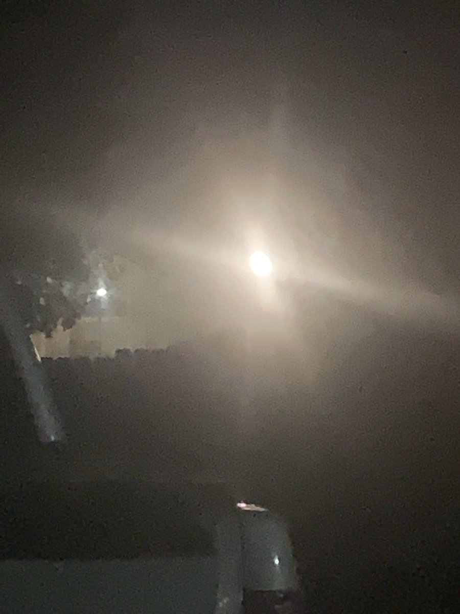 Betsy Luke tweet media