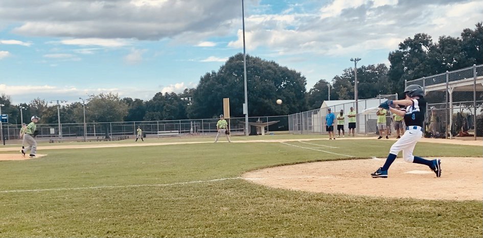 Tessa Schirm tweet media