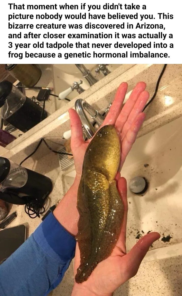 KingBlowback's tweet photo. CHEMICALS IN THE WATER https://t.co/XUVeLNXLZB
