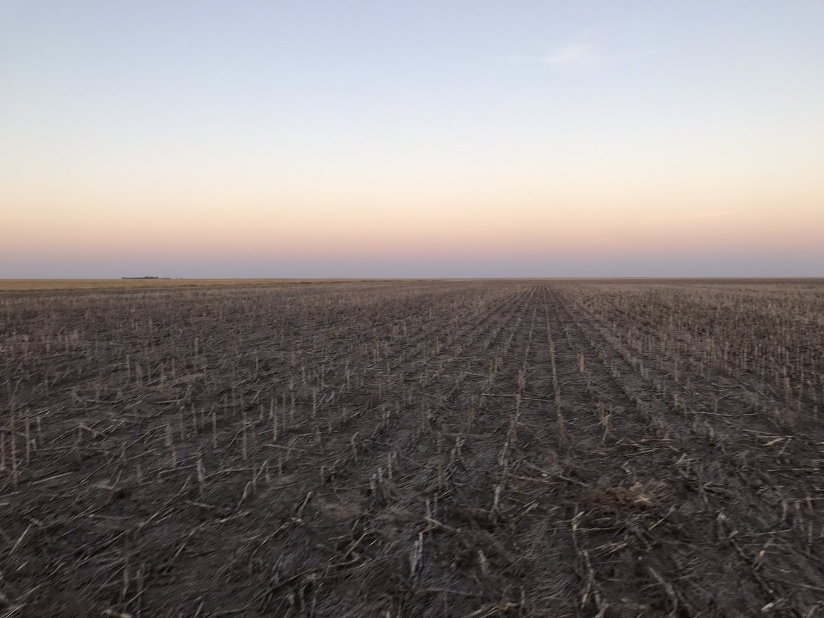 KSUWheat's tweet photo. @KSUWheat group left manhattan 5 am today and didn’t get to hotel until 10:30 pm! Long day but many @KansasWheat plots down near Leoti, KS, in collaboration with @hortonseed https://t.co/vgqRzPOsmL