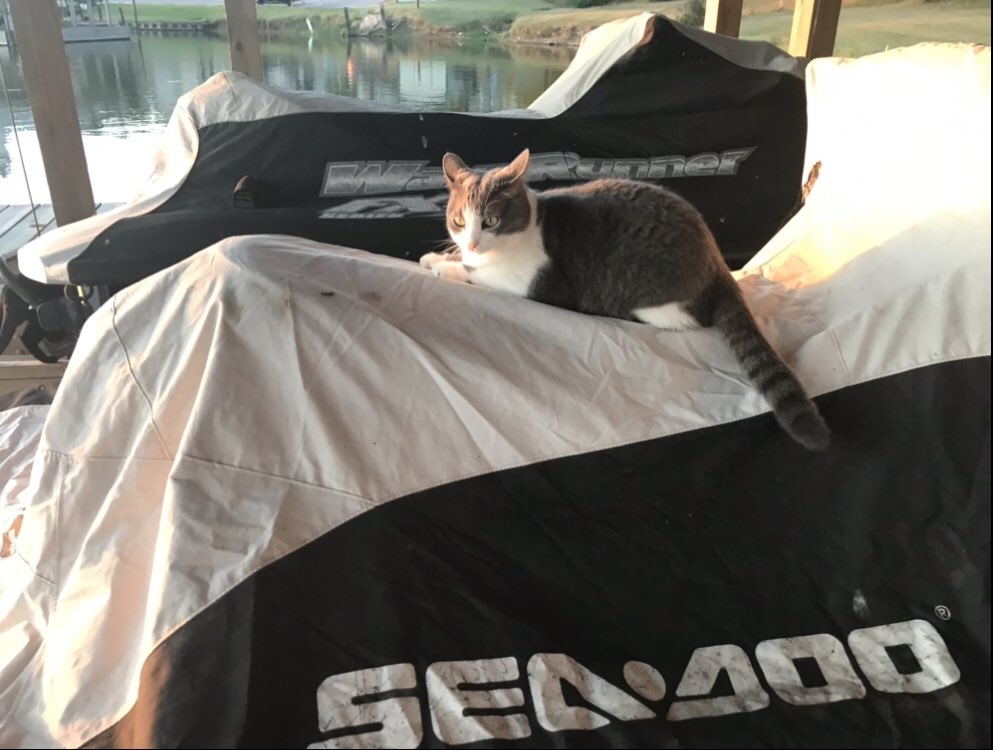 RealRuggle's tweet image. Jet Ski!!!