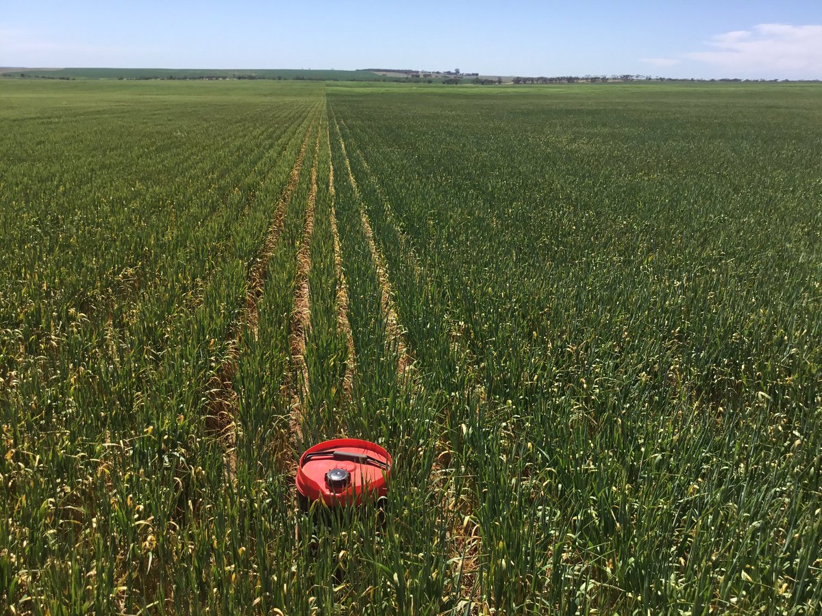 DanArunta's tweet image. Sown last Spartacus on left comodus on right, not really enjoying the forgot to rain bit.