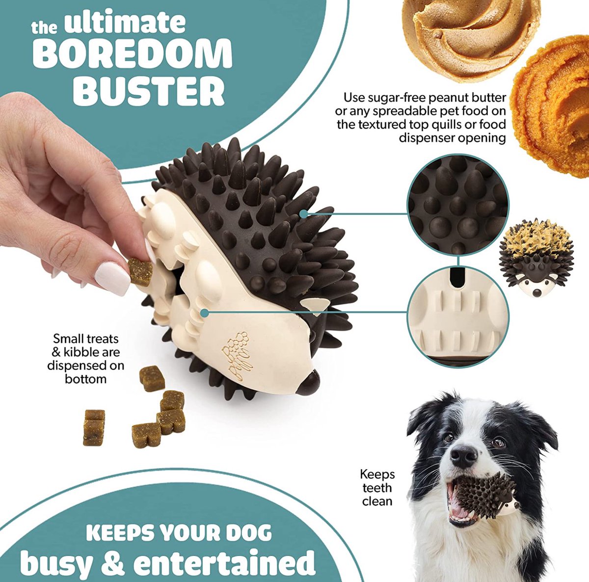 KudaTheStudioDog tweet media