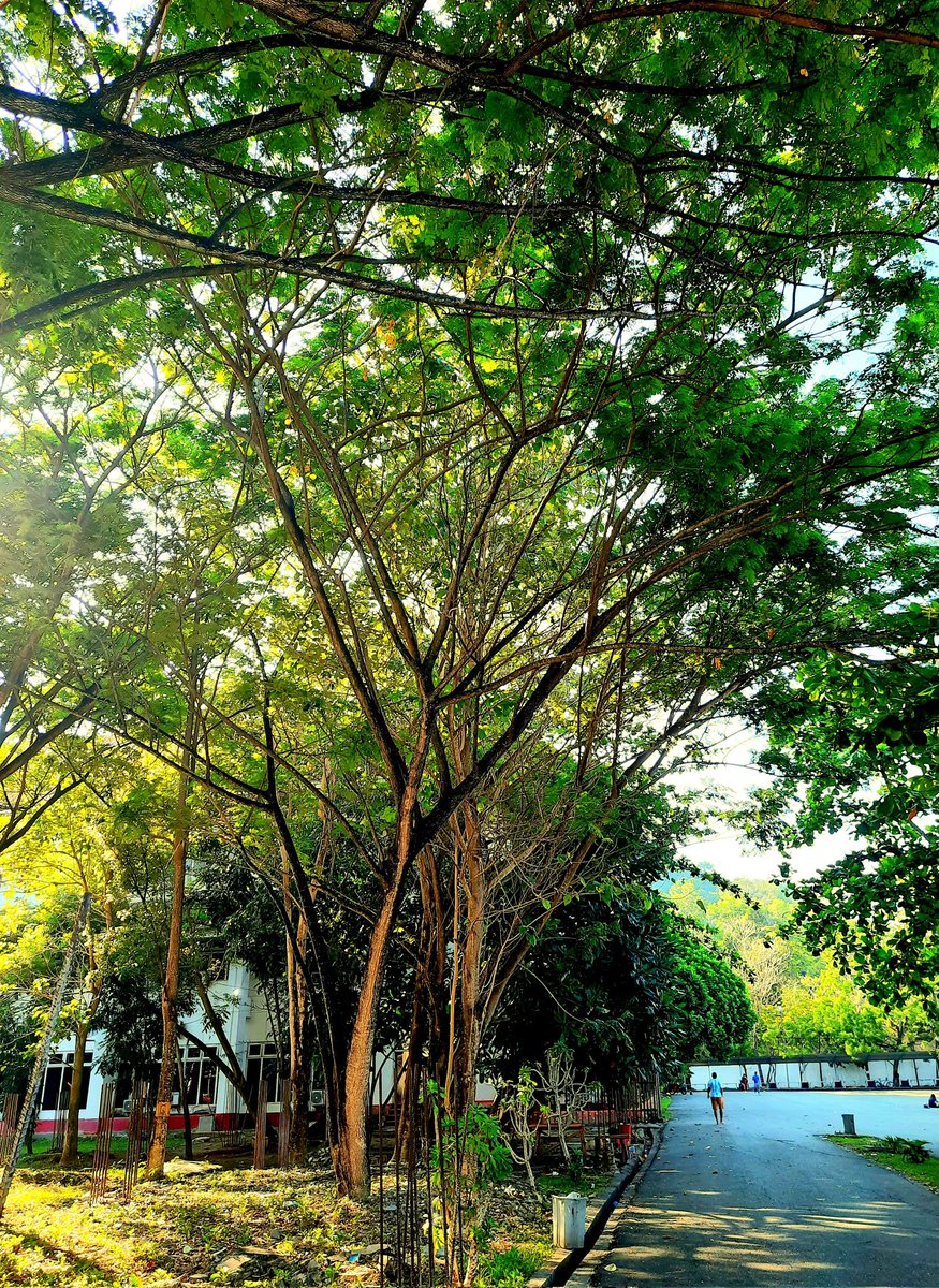 ratih nurani (@noer_ratih) on Twitter photo 