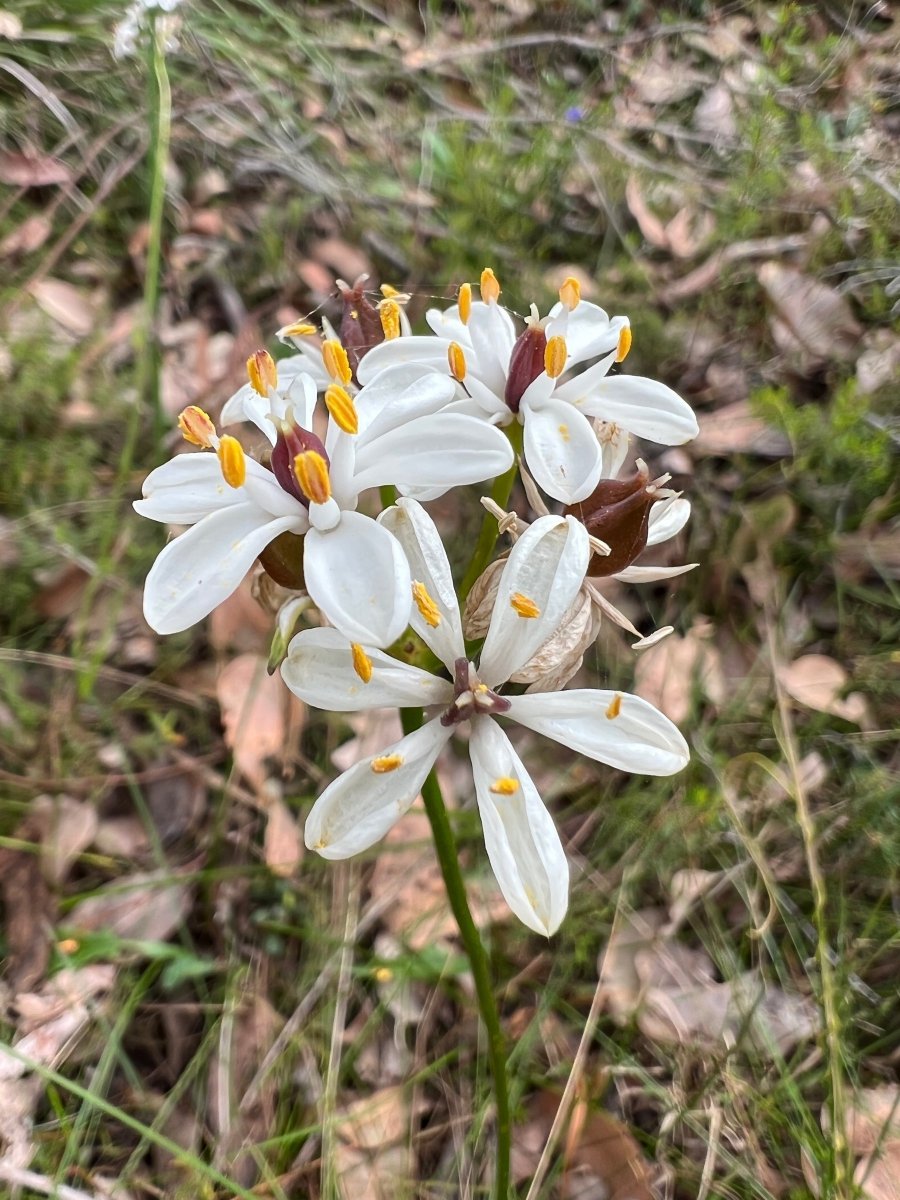 David Brown tweet media