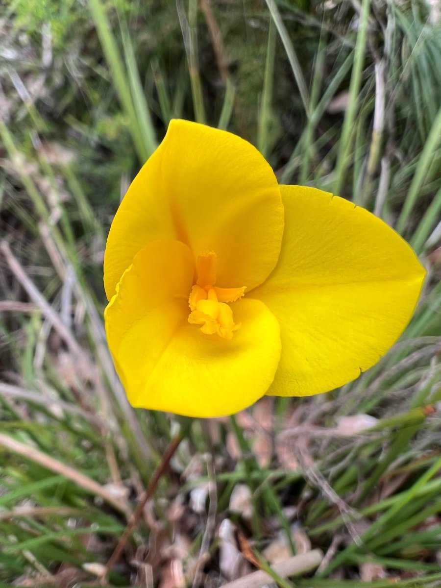 David Brown tweet media