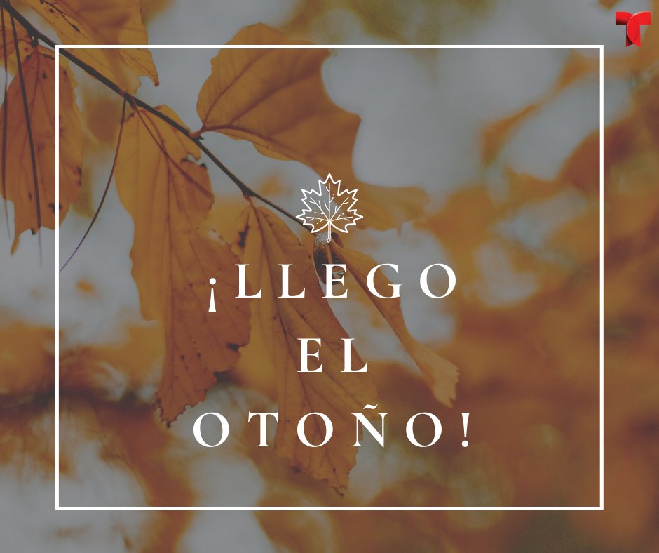 GabyMerlina's tweet photo. #25Sep Bueh, ya este dia se va y cerramos la semana 38-39 del año y casi la ultima de #Septiembre
#MiBalance Pese algunos vaivenes de energia fue buena. Claro que sí, porque estamos sanos, con hogar con familia y con #Dios✨
#QueMeTrajo ¡Mi temporada fav!👇
#GraciasVida 🌟💝 https://t.co/e1UeGUPsNV