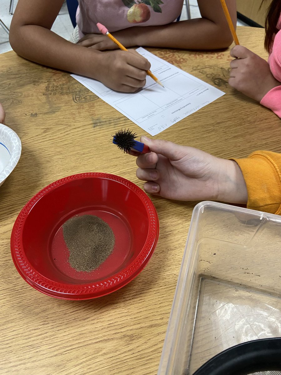 Ss identifying the best way to separate mixtures.