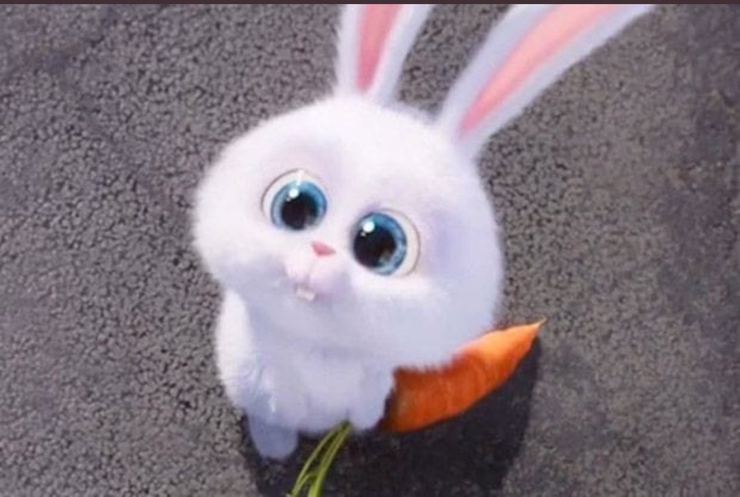 harshixabhi's tweet photo. Kismat badalti dekhi main  jag badalta dekheya sab kuch badal gya mera ek tuhi hai mere sang 😘😘😘

@dads_cute_stuff https://t.co/NHbtugwk1M